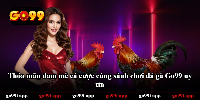 Thỏa mãn đam mê cá cược cùng sảnh chơi đá gà Go99 uy tín Thỏa mãn đam mê cá cược cùng sảnh chơi đá gà Go99 uy tín